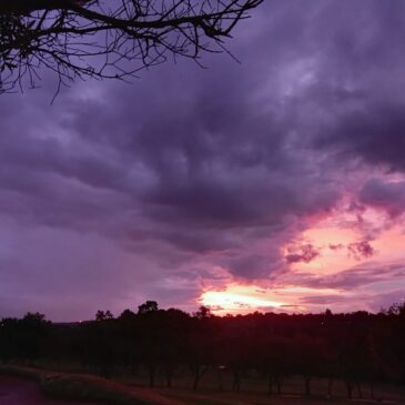 Latest From The Galaxy 9 April 2024