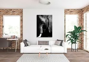 The Elephant in the Room.